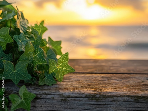 Lush green ivy leaves on weathered wood, bathed in golden sunset light near the ocean.