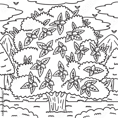 Pecan Tree Fruit Plant Coloring Page for Kids