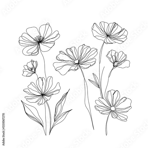 Elegant line art floral illustration