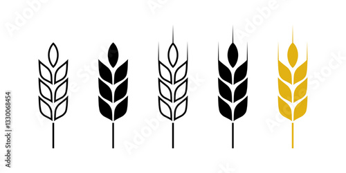 Wheat ears icon set vector. Rice icon. Wheats rye rice ears. Barley field cereal nutritious. Wheat grain.