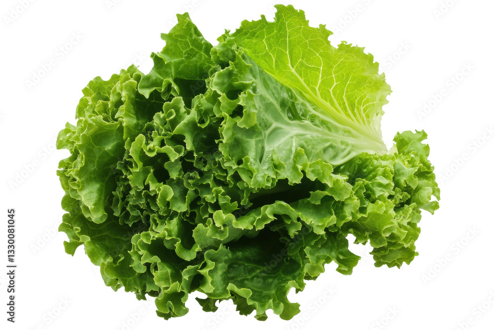 Fresh green leaf lettuce isolated on black background, cut out Fresh green leaf lettuce isolated on black background, cut out