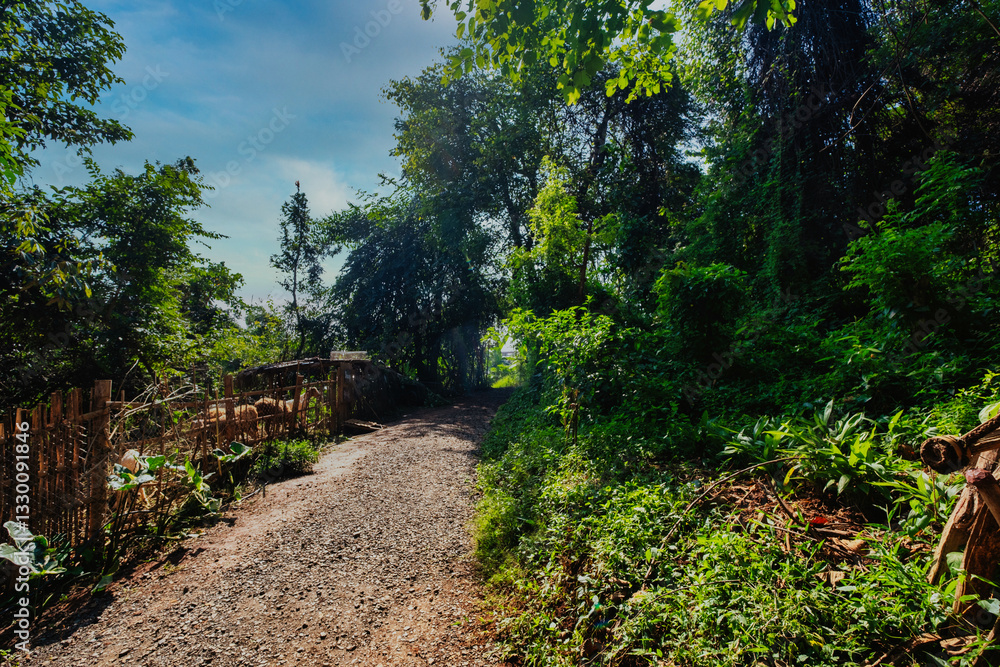 Fototapeta premium A rural path in the Karen tribe village, Chiang Mai, Thailand
