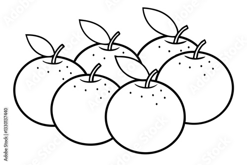orange fruits set line art silhouette vector illustration
