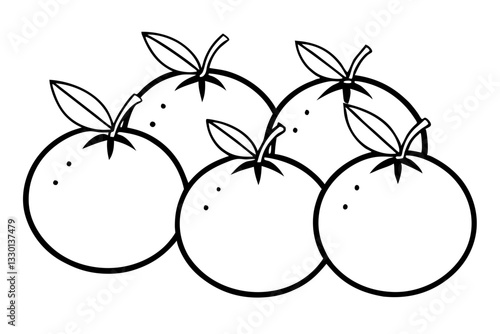 orange fruits set line art silhouette vector illustration