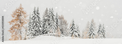 Snowy landscape with evergreen and golden larch trees. Snowflakes are falling. Passo Valles, Trentino, Italy