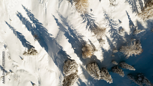 Aerial view of snow-covered trees casting long shadows on a bright, sunny day. The scene is mostly white with dark shadows and some golden trees.