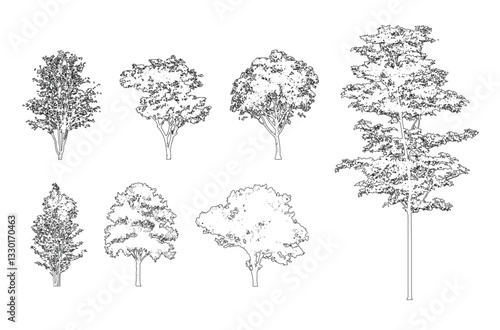 Minimal style cad tree line, Side view, set of graphics trees elements outline symbol for architecture and landscape design drawing. Vector illustration in stroke fill in white. Tropical