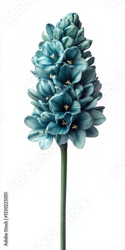 Beautiful Blue Floral Arrangement Isolated on White Background