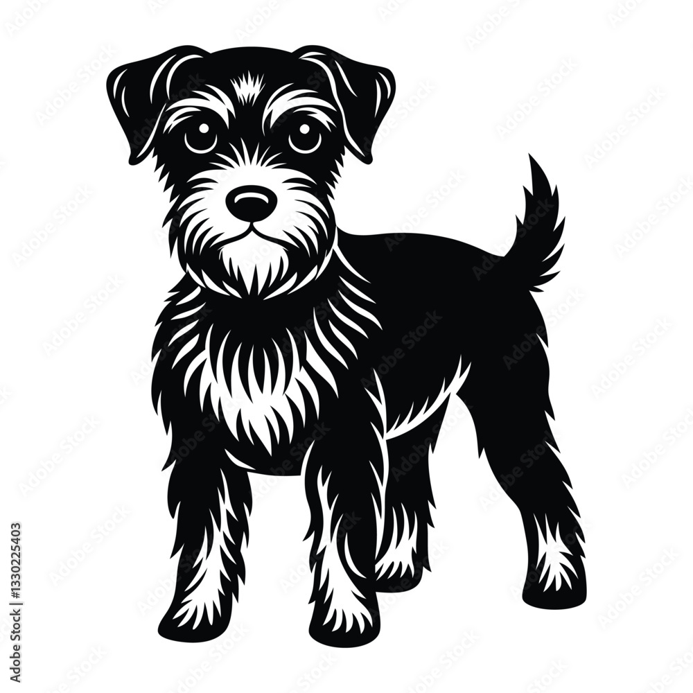 black and white dog black and white dog