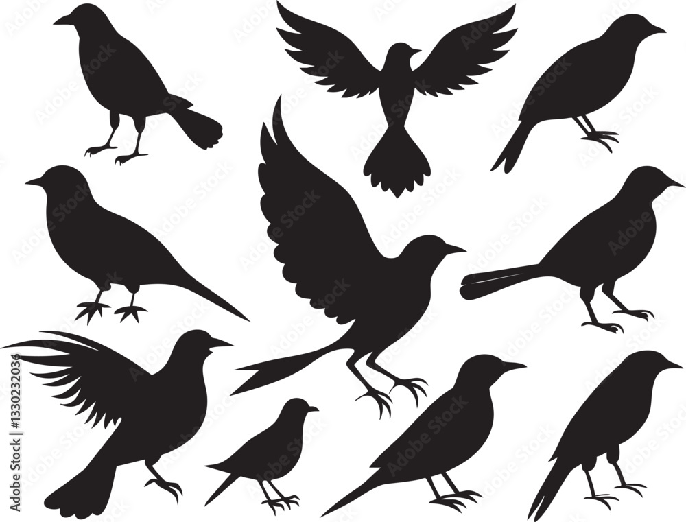 Fototapeta premium set of silhouettes of birds