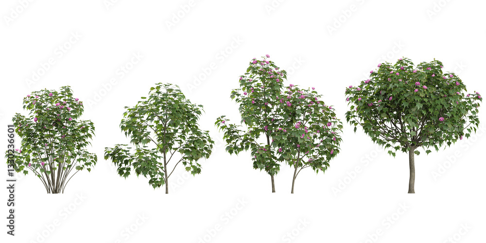 Fototapeta premium 3d illustration of Hibiscus trees on transparent background