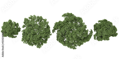Foto 3d illustration of Wild almond trees on transparent background from the top view