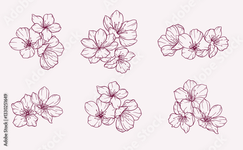 Cherry Blossom Line Art. Trendy floral branches and flowers. Botanical Line Art Sakura Collection. Hand drawn line art cherry blossom flowers. Luxury Line Floral Art. Cherry Blossom Outline