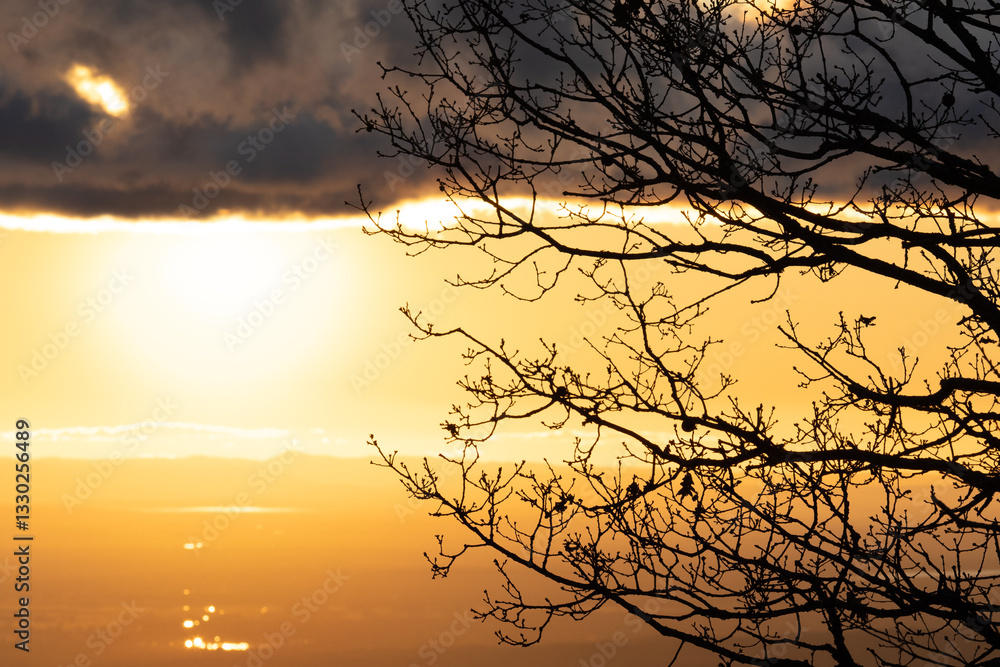 Obraz premium Backlighted winter sunset with the silouette of a tree and blank space