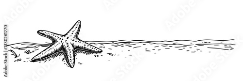 starfish on sandy beach shore, doodle vector black sketch