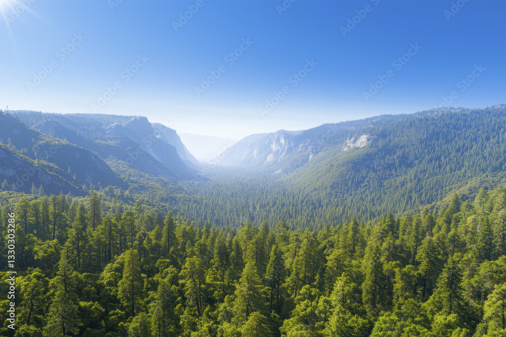 Obraz premium Majestic aerial view of lush green valley surrounded by mountains, showcasing nature beauty and tranquility