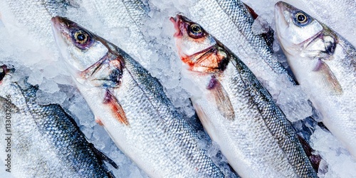 European seabass on ice at fish market. Madrid, Spain, Europe photo