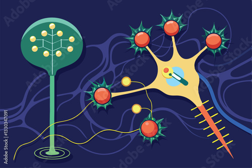 The transmission of electrical impulses between neurons and synapses, Transmission of nerve impulse or electrical signal across synapse,