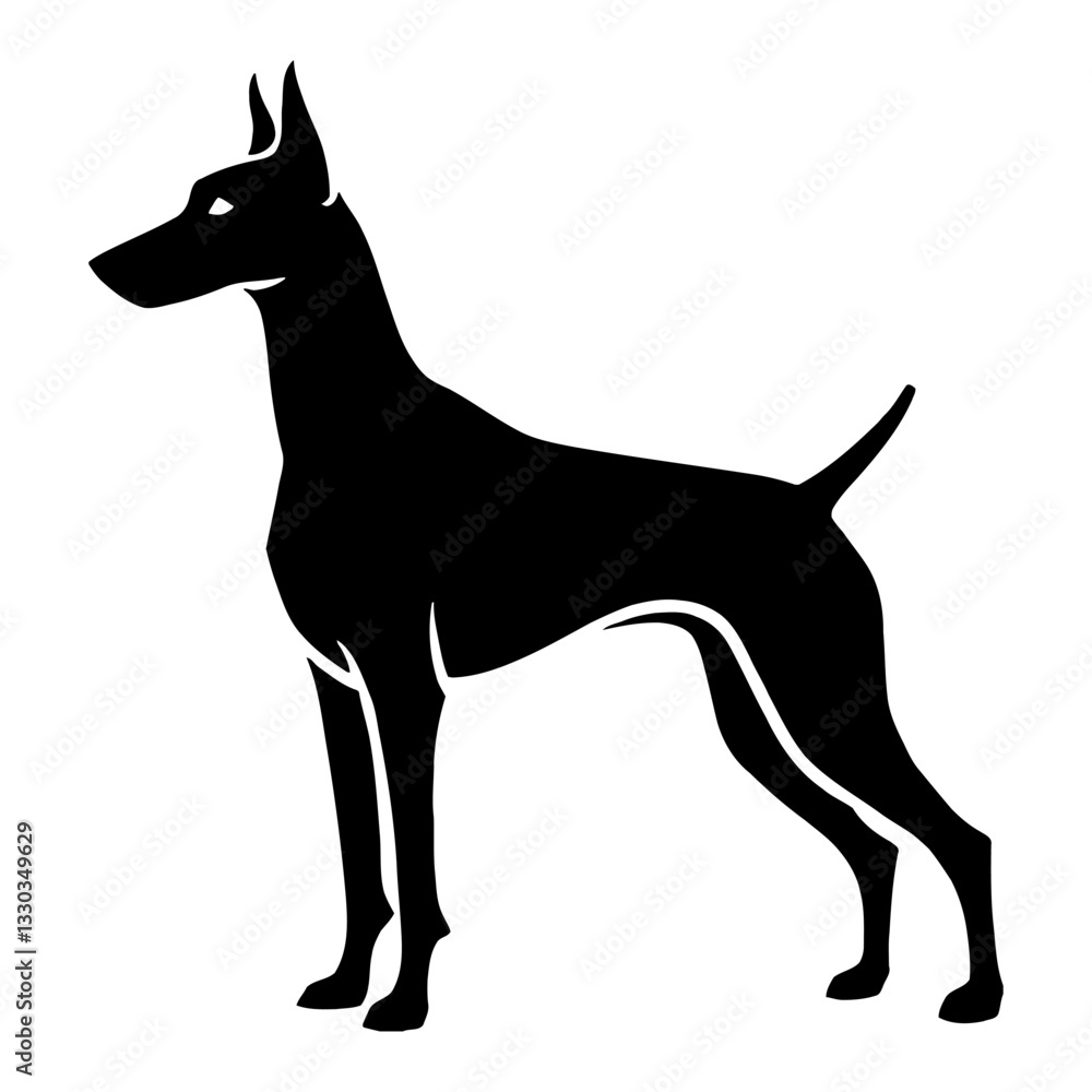 Minimalist Black and White Outline Line Art Drawing of a Full Body Dobermann Standing Profile View Minimalist Black and White Outline Line Art Drawing of a Full Body Dobermann Standing Profile View