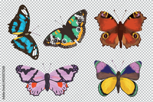 Illustration papillons bleu rose rouge jaune rouge violet vecteur printemps