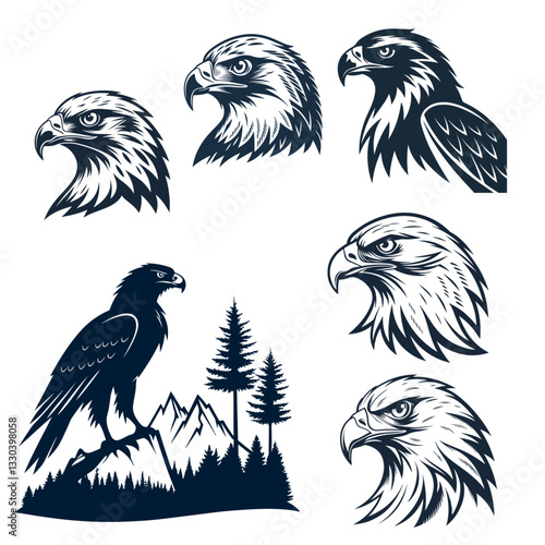 Eagle Bird silhouette illustration bundle vector Style with white background