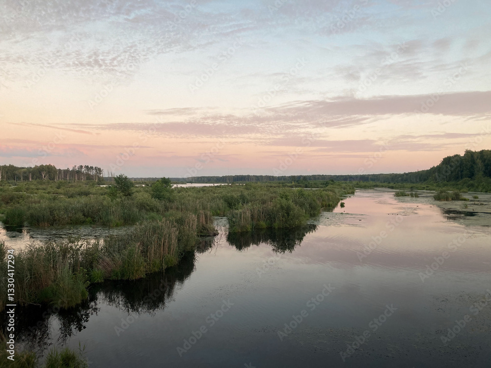 Obraz premium Mytishchi floodplains, Losiny Island National Park, view of Verkhneyauzsky swamps in summer at sunset