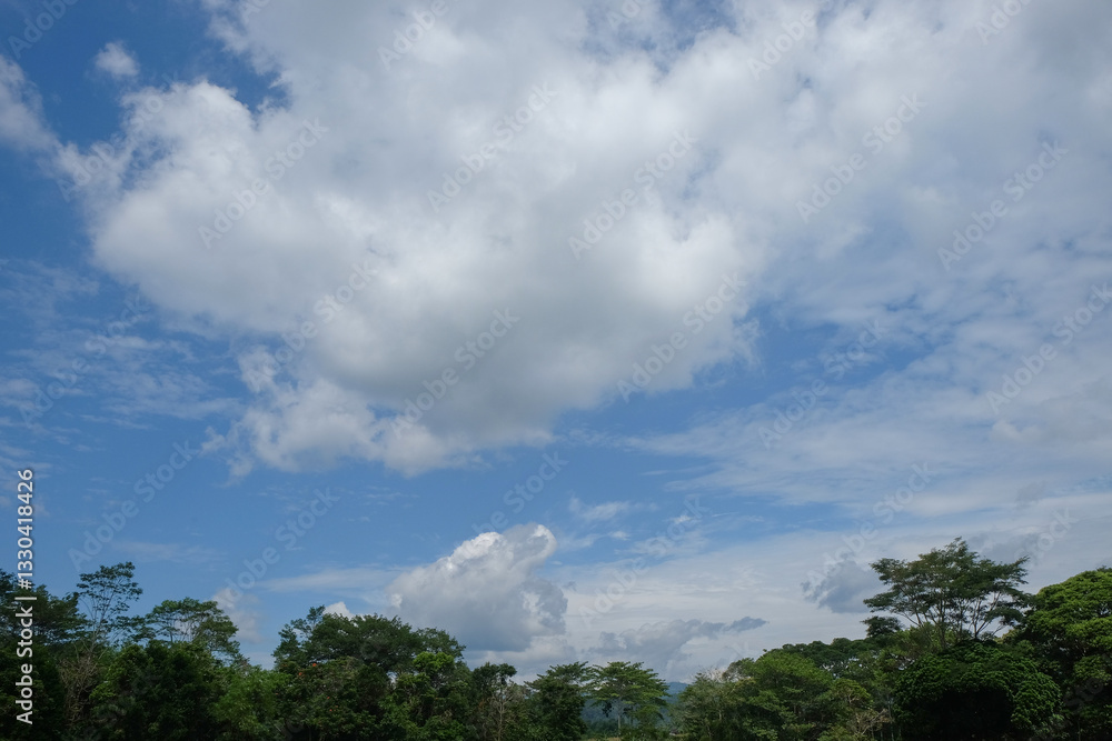 Fluffy white clouds in the blue sky above a row of trees.Ecology and environment concept.Copy space for text.For graphic design,3D rendering or banner background Fluffy white clouds in the blue sky above a row of trees.Ecology and environment concept.Copy space for text.For graphic design,3D rendering or banner background