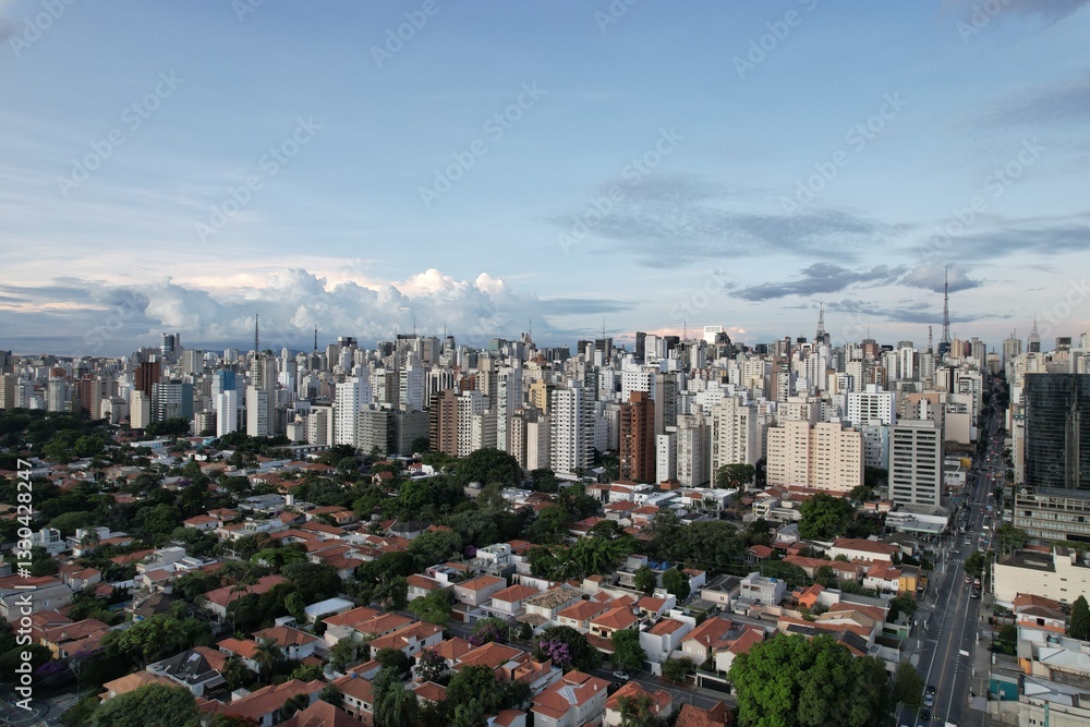 Fototapeta premium Sao Paulo skyline showcasing urban architecture and city life