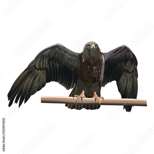 Golden eagle spreading wings. Vector illustration isolated on white background