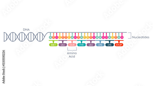 DNA sequence. Vector illustration. Can be used for topics like biology, chemistry, medicine