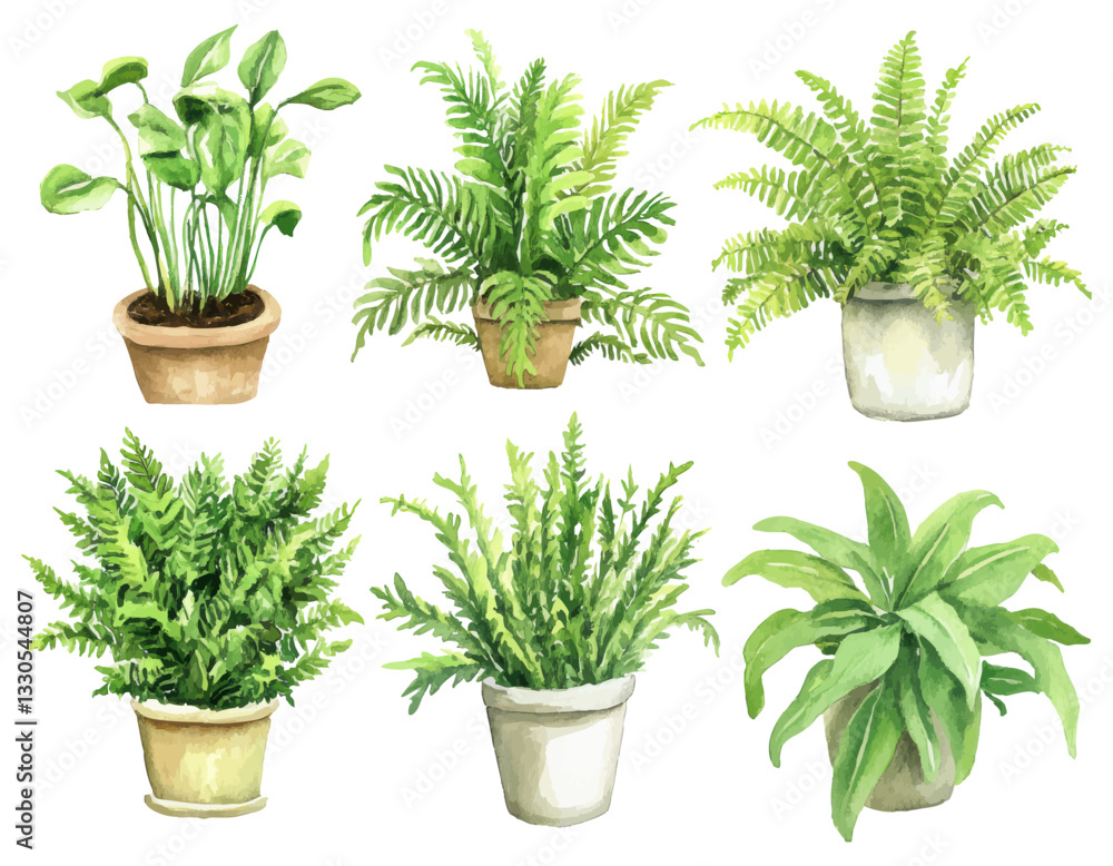 Obraz premium Watercolor illustration of potted green houseplants and ferns for botanical and home decor inspired designs