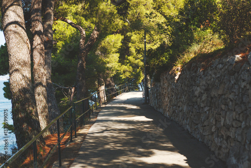 Obraz na płótnie Experience a Serene and Peaceful Nature Walkway Completely Surrounded by Lush, Vibrant Trees w salonie