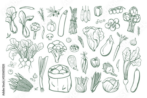 Hand drawn different vegetables set. Vegan food collection in sketch style