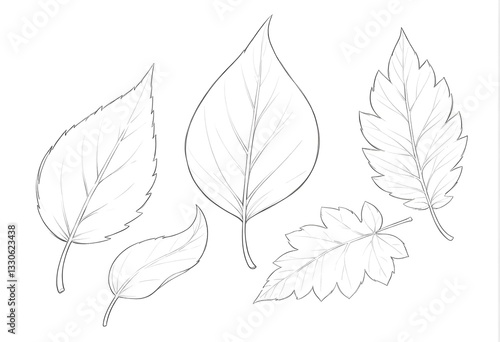 Black and white sketch of various leaf outlines with different shapes and sizes. Hand-drawn style illustration, perfect for coloring books, design elements, and botanical concepts.