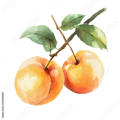 Watercolor hand-painted yellow apricot branch and green leaves with realistic texture on a white background, botanical fruit illustration, flat watercolor painting, simple and detailed design.