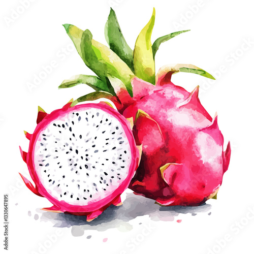 A Simple Watercolor hand-painted sliced dragon fruit and green leaves with realistic texture on a white background, botanical fruit illustration, flat watercolor painting, simple and detailed design.