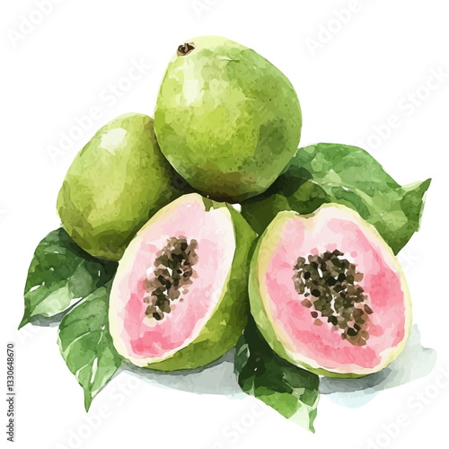 Simple Watercolor hand-painted sliced guava and green leaves with realistic texture on a white background, botanical fruit illustration, flat watercolor painting, simple and detailed design. vector