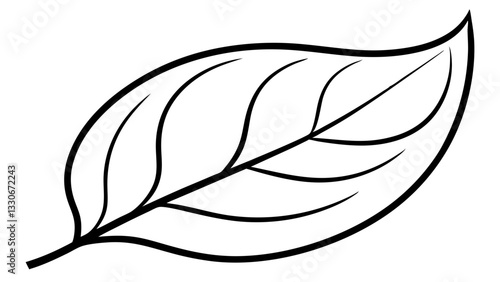 Minimalist leaf