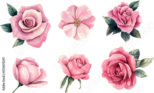 set of pink roses