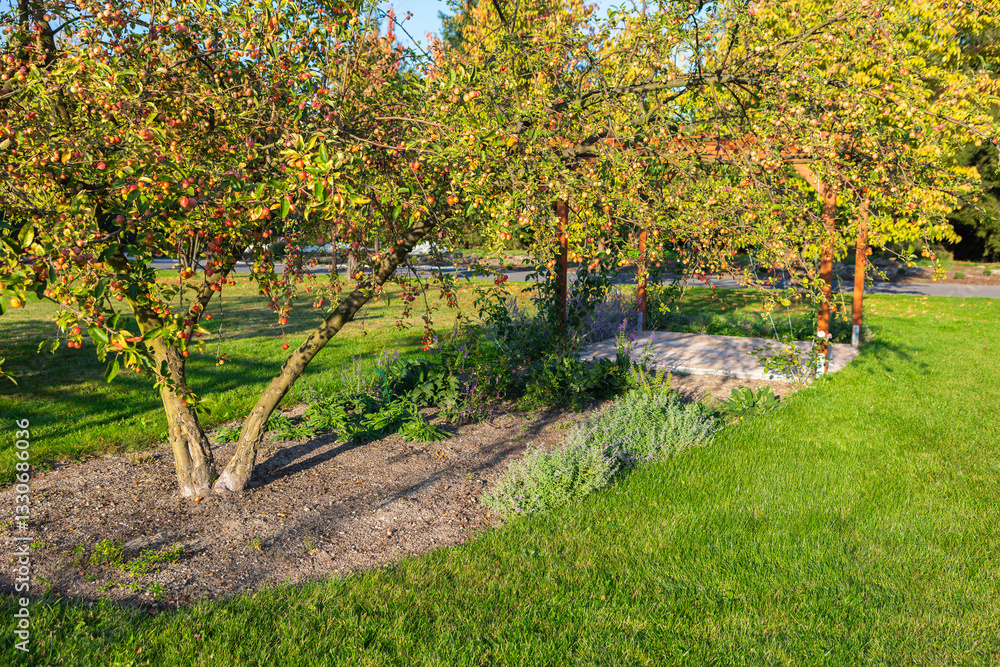 Naklejka premium Bright autumn afternoon in a serene garden with lush greenery and gentle shadows