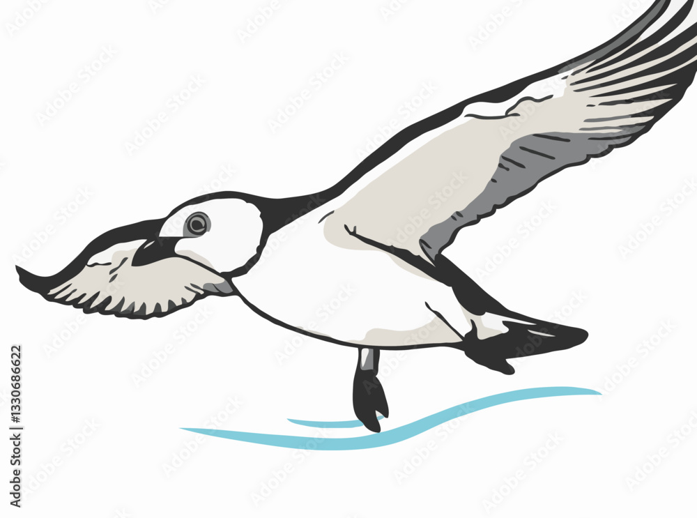 Petrel Petrel