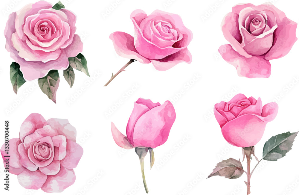 set of pink roses set of pink roses