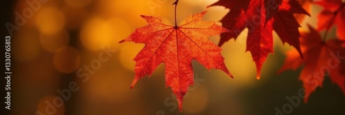 Wallpaper Mural Close-up of a single maple leaf, intricate detail, autumn colors, close-up, background Torontodigital.ca