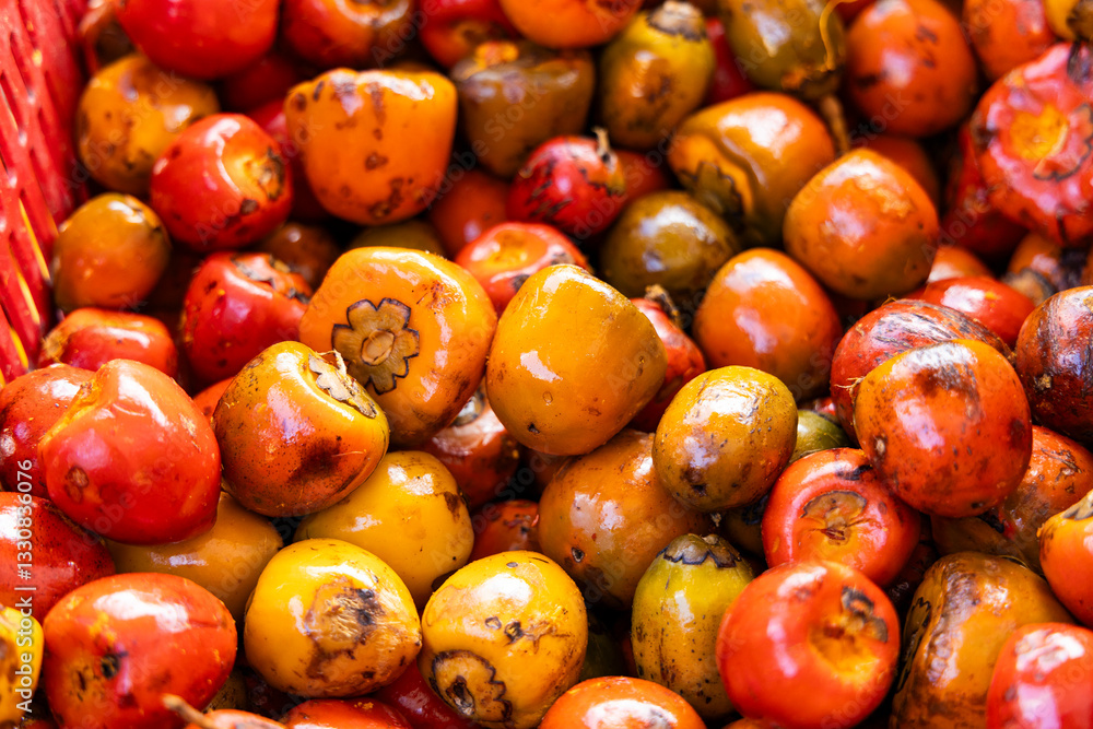 Fototapeta premium Chontaduro fruit of the amazon palm tree - Bactris gasipaes.