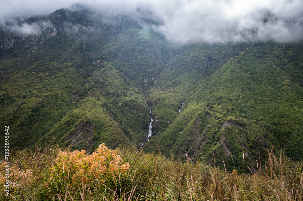 Naklejka premium Beautiful landscape of the nature in Langtang valley, Nepal. The beautiful Langtang Valley was the third of the great trekking areas of Nepal.