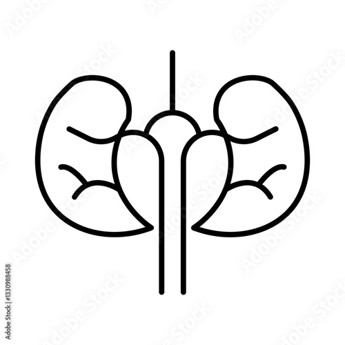Kidney icon
