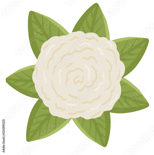 A soft white flower icon with layered petals and vibrant green leaves, bringing a fresh and peaceful feel.

