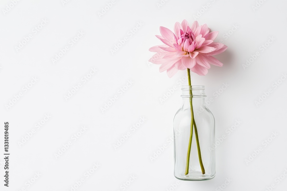 Single pink flower in clear glass bottle against white background symbolizing purity simplicity delicate beauty and minimalist floral elegance Single pink flower in clear glass bottle against white background symbolizing purity simplicity delicate beauty and minimalist floral elegance