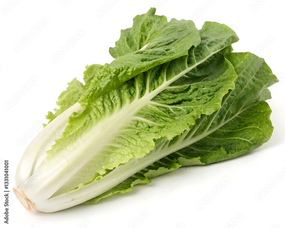 Fresh Green Napa Cabbage: A Nutritional Powerhouse for Healthy Cooking Fresh Green Napa Cabbage: A Nutritional Powerhouse for Healthy Cooking