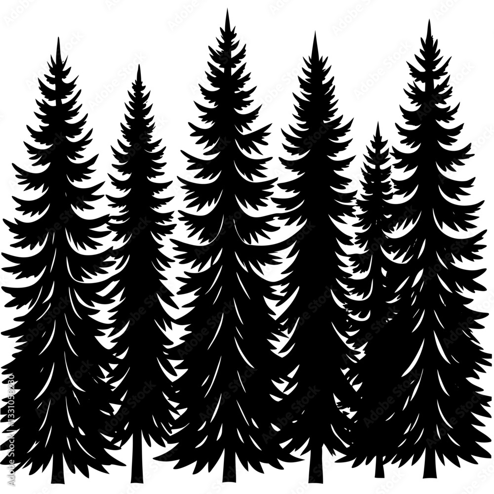 Obraz premium forest of pine silhouettes